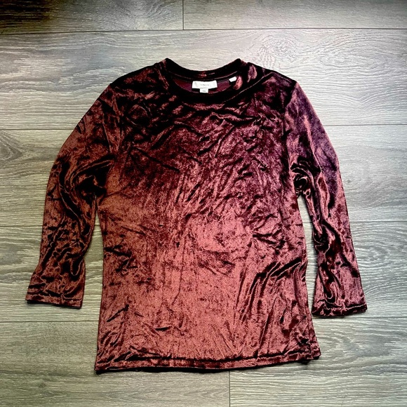 Vince Brown Velvet Velour 3/4 Sleeve Crew Neck Top Winter Fall Work Party Size M - Picture 1 of 9
